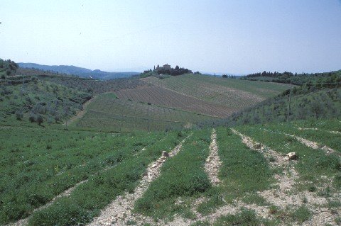 092-G-Tuscany-Hillside