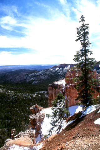 Bryce Canyon #2