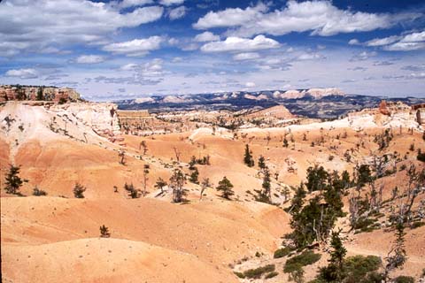 Bryce Canyon #3