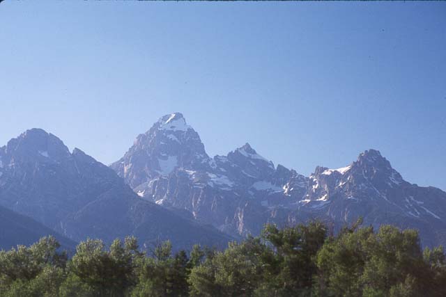 Grand Tetons #1