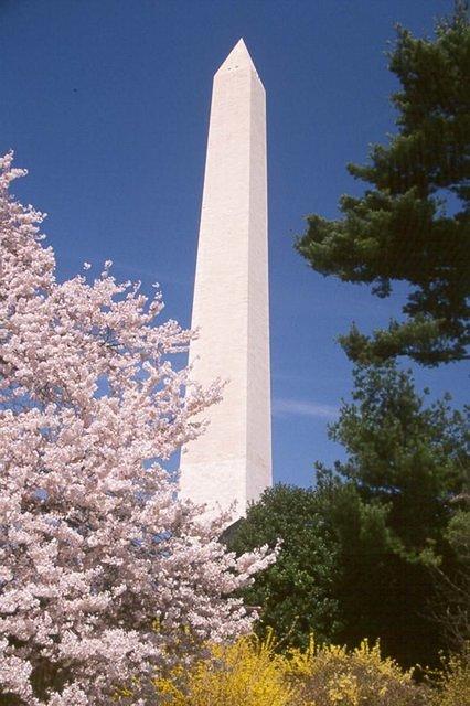 Washington Monument