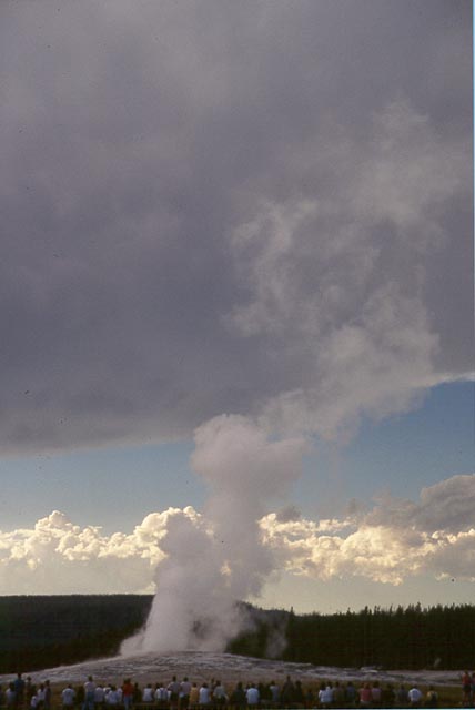 Old Faithful #3