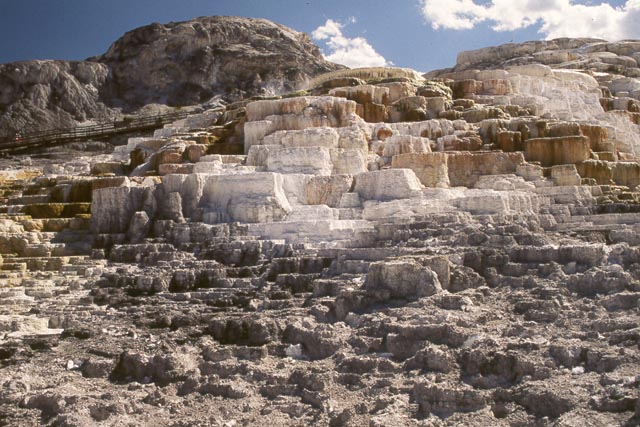 Mammoth Hot Springs #1