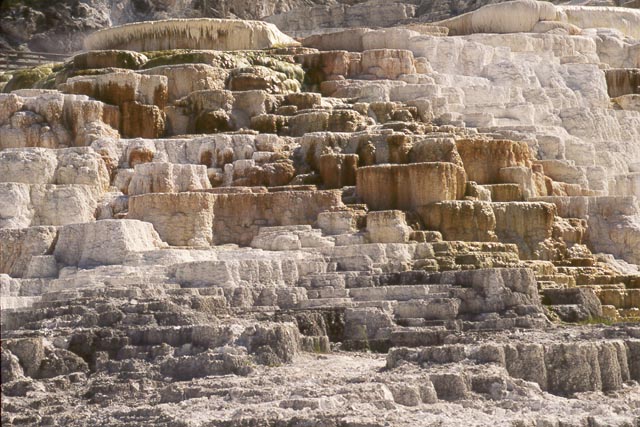 Mammoth Hot Springs #2