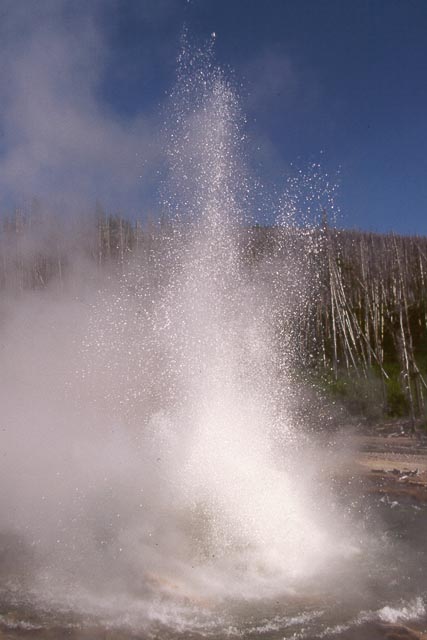 Norris Geyser #2