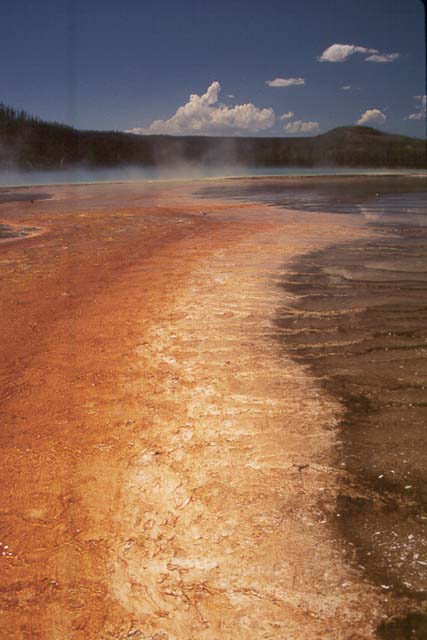 Grand Prismatic #1