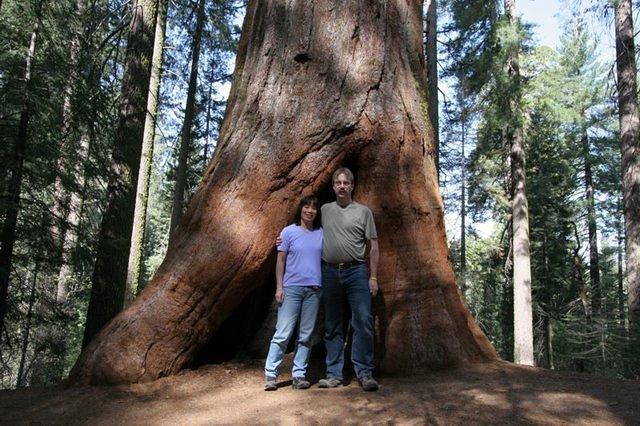 Gary and Anna, Tuolumne Grove