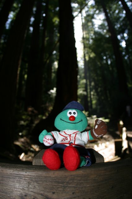 Muir Woods