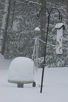 Snowy Birdbath