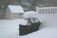 Snowy Deck and Shed