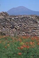 113-G-Pompeii