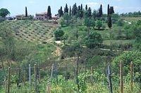 095-A-Tuscany-House and Vineyard