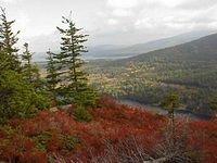 Somes Sound #2