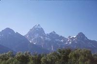 Grand Tetons #1