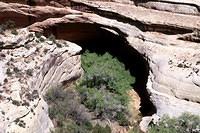 Kachina Bridge