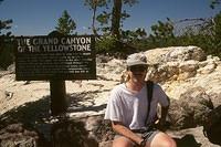 Grand Canyon of Yellowstone #1