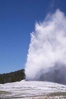 Old Faithful #2