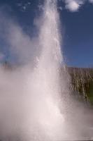 Norris Geyser #3