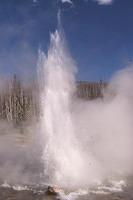 Norris Geyser #4