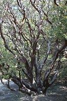 IMG_0285.JPG