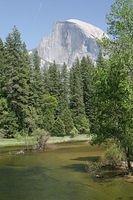 IMG_0135-G.JPG