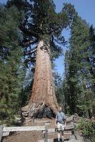 Gary and Grizzly Giant