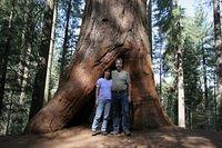 Gary and Anna, Tuolumne Grove