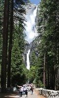 IMG_0165-mod.jpg