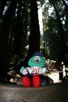 Muir Woods